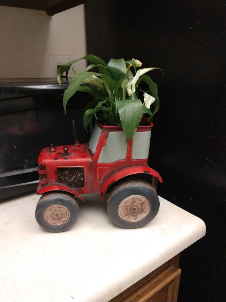 Red tractor planter with live houseplant