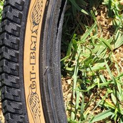 GT BMX 20x2.125 Tires (Pair) – Classic Wing Logo
