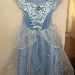 Cinderella Dress 