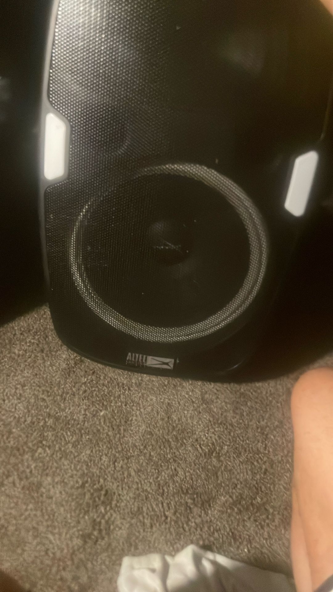 45 Dollar Party Speaker On Wheels