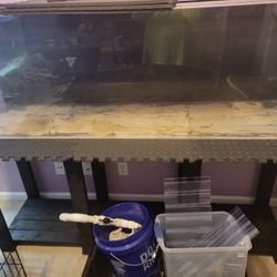 135 Gallon Acrylic Tank 