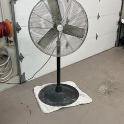 Electric Fan