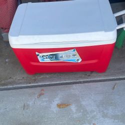 Igloo cooler medium sized