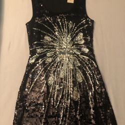 NEW Black/Silver Sequin Dress (nwt)