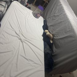Kids Bunk Beds