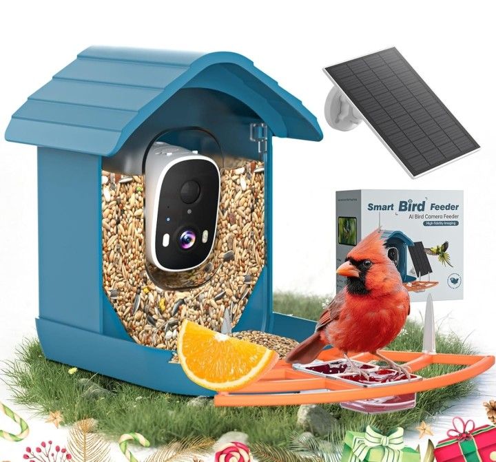 Bird Perch with Fruit Holders and Jelly Feeder, Bird Seed Container with Camera and Antenna, Feeder