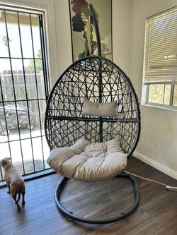 Wein 1 Person Swing Egg Chair with Stand