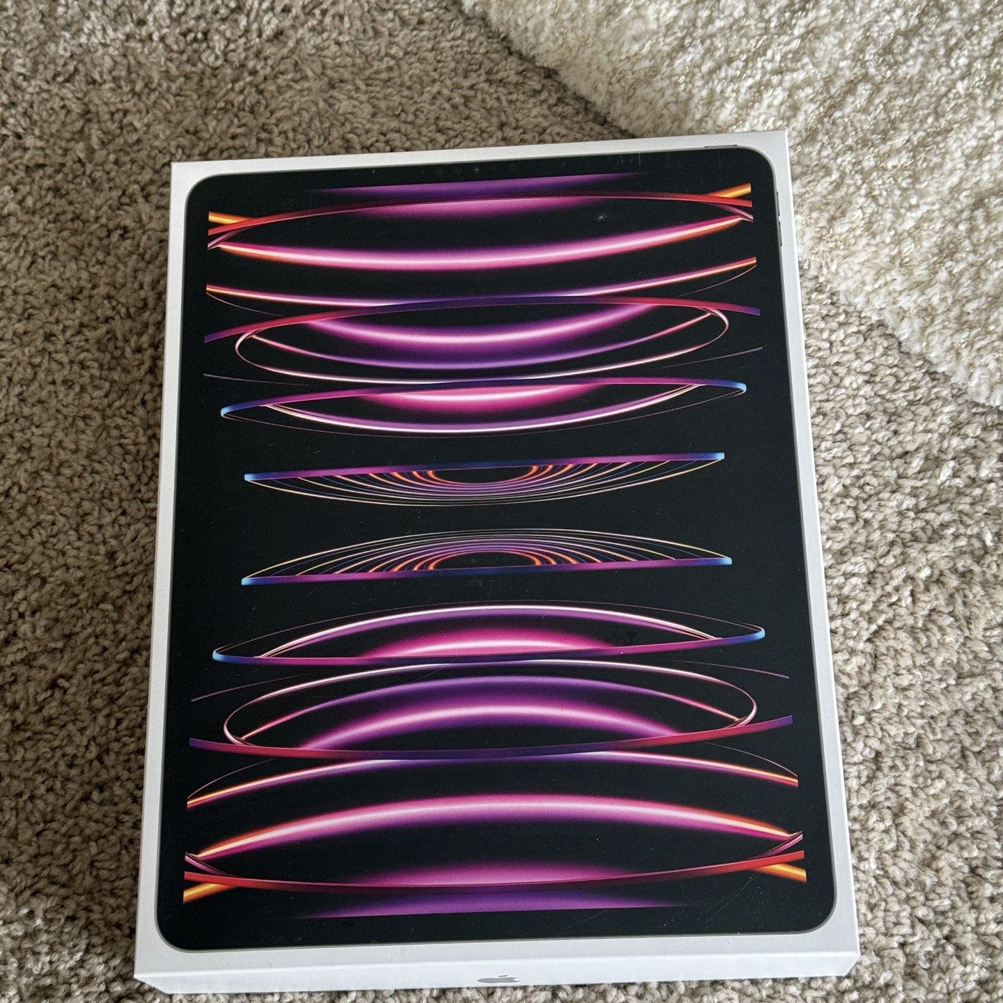 iPad Pro 12.9” (6th Generation) WiFi