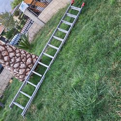 Ladder In Very Good Condition