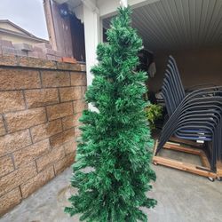 3 Christmas Trees 6 Feet Tall For $20