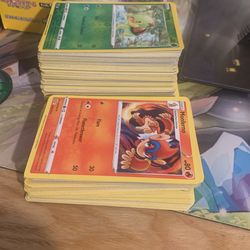 Entire Pokémon Lot