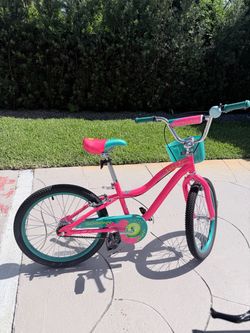 Schwinn Bike Girls