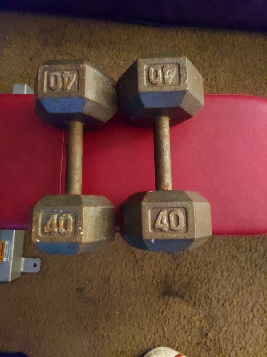 40 Pound Dumbbells for Sale in Largo, FL OfferUp