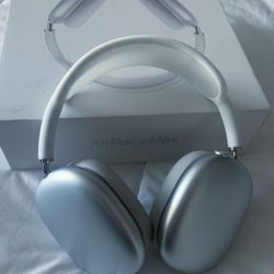 Silver Apple iPod Headphones - Mint Condition 