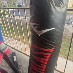 Everlast Punching Bag 