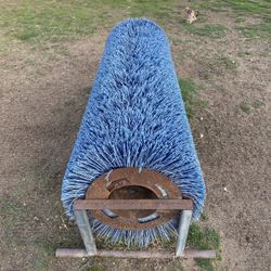 Animal Scratching âthingâ
