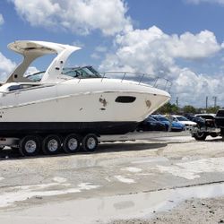 Project Boat 2012 Sea Ray 370 