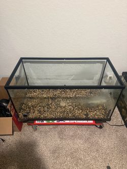 40 breeder tank