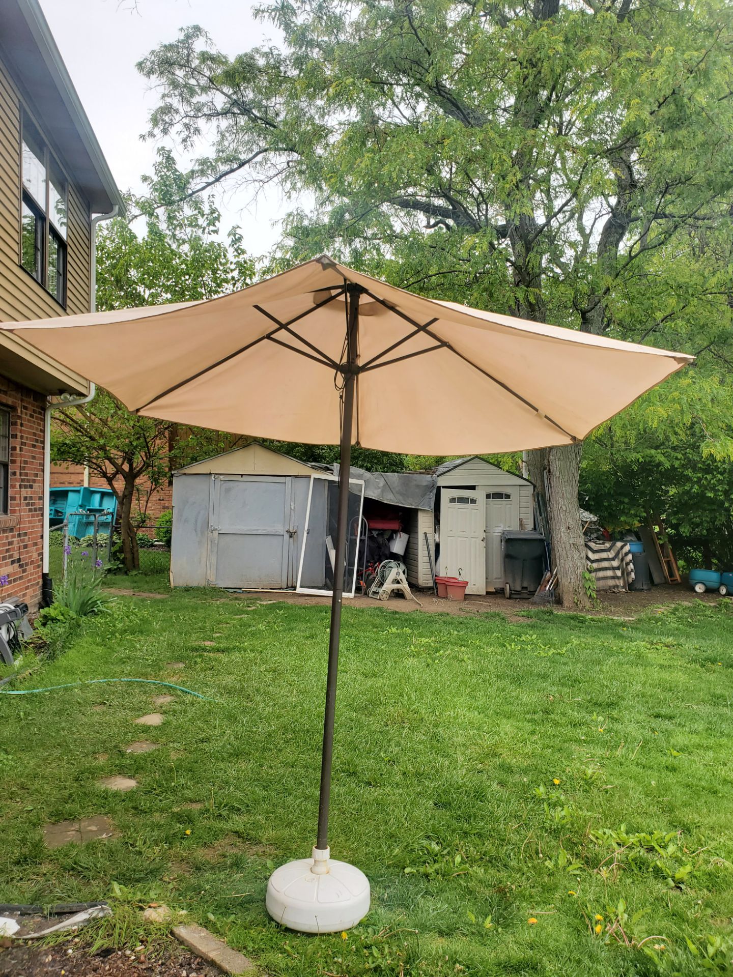 Umbrella with Base