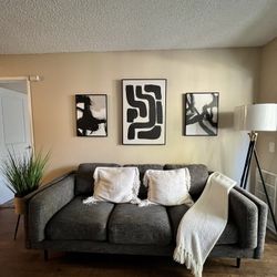 Gray Sofa