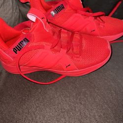 Puma Size 2c