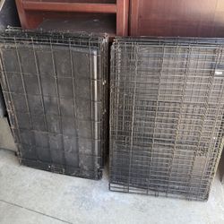 Large Dog Kennels