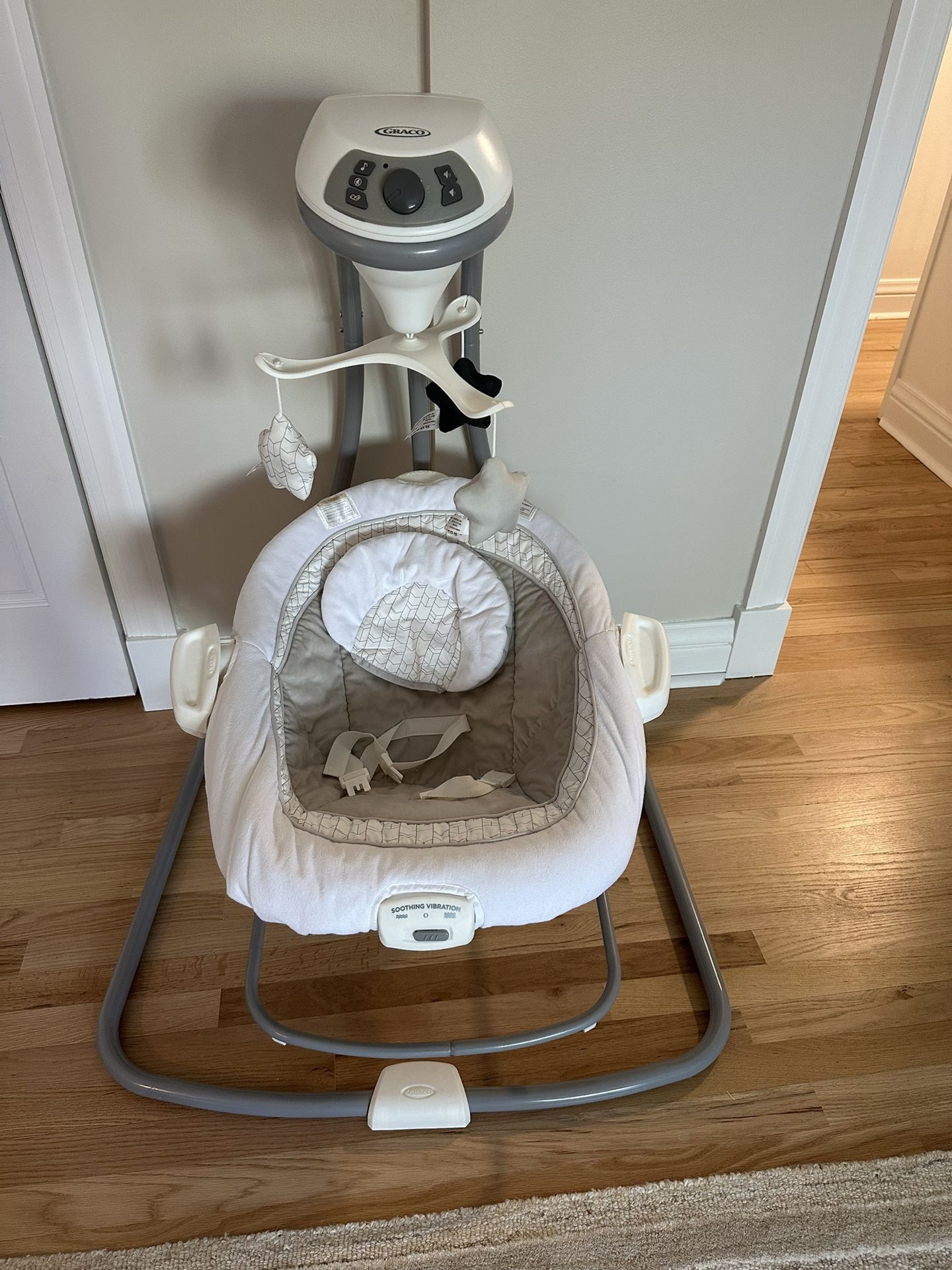 Infant Swing Graco