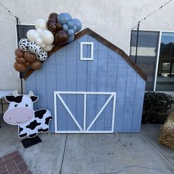 Barn Doors For Birthday Parties
