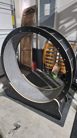 Cat wheel