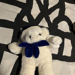 Small White Teddy Bear