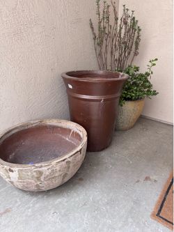 Large pots