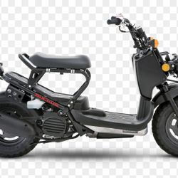 2019 Honda Ruckus