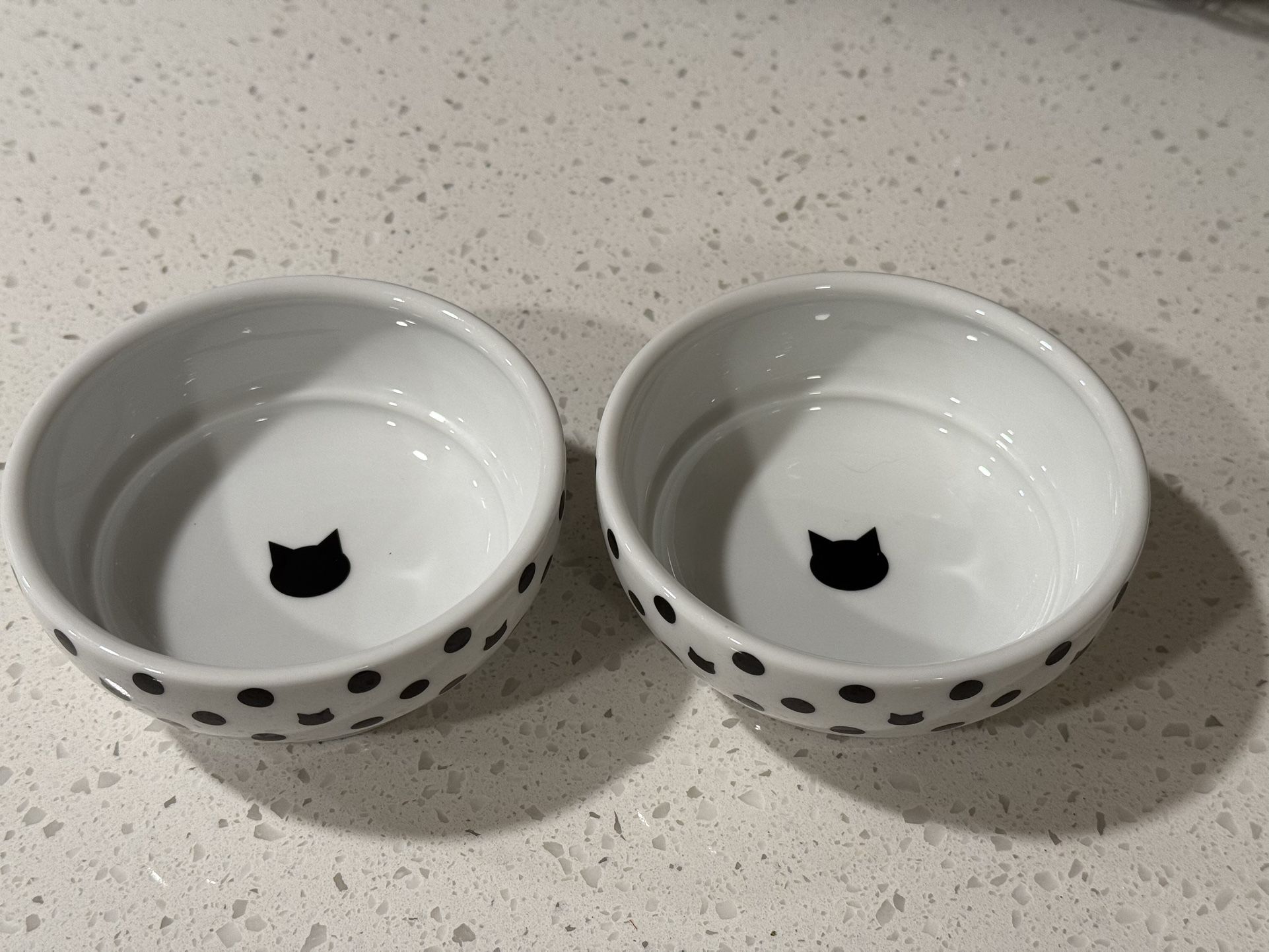 Black & White Cat Dish