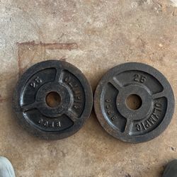 BFCO OLYMPIC WEIGHTS 