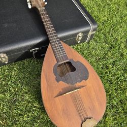 Vintage Mandolin Guitar