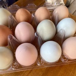Fresh Eggs, Cage Free, Unwashed Bloom In Tact, Kept Refrigerated 