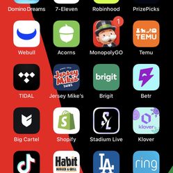 iPhone 13 With Tik Tok And Procut Installed