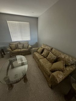 European Brown Couch Set
