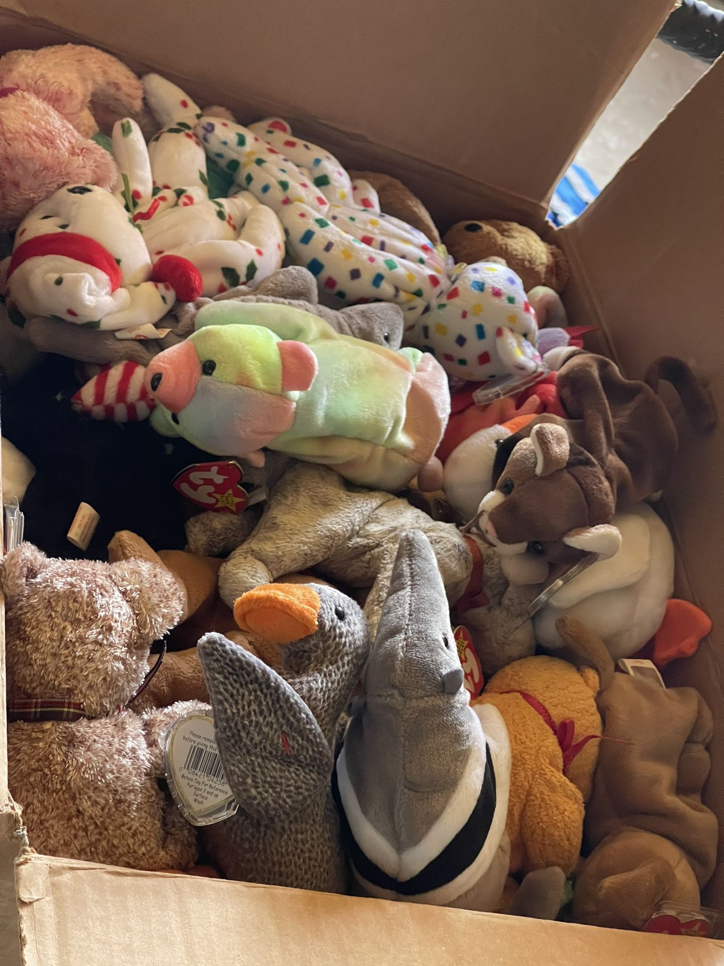 Beanie Babies Box Full 