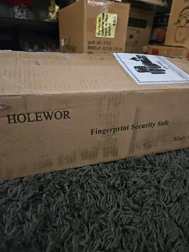 HOLEWOR FINGERPRINT SECURITY SAFE