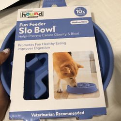 Slow Feeding Bowl (very Good Condition)