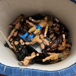 Wwe Action Figures accessories Included. 