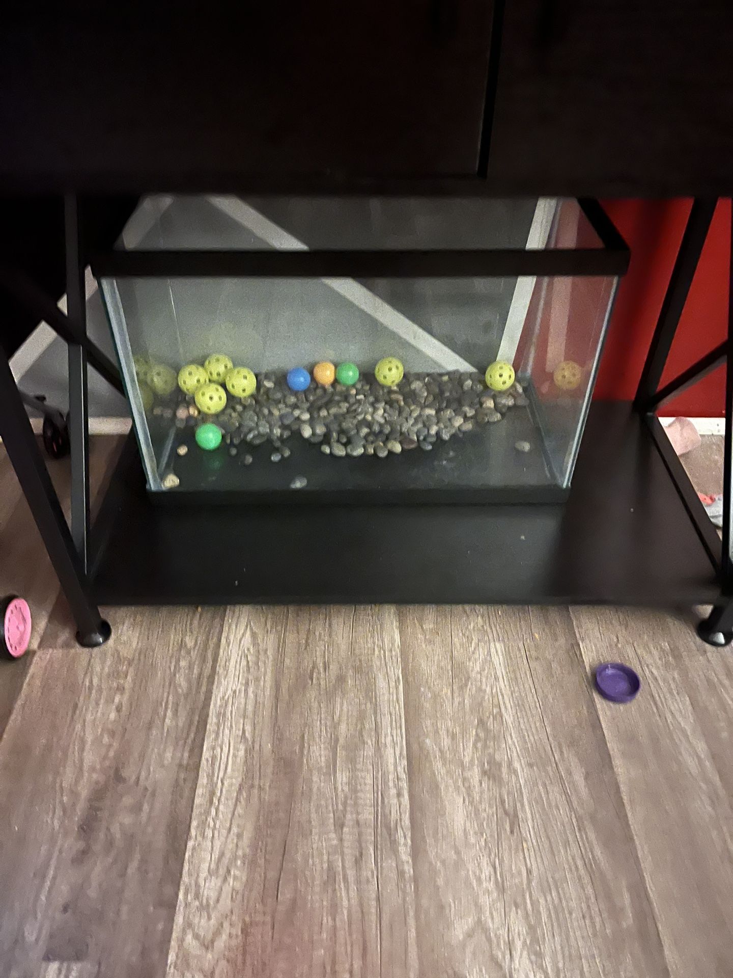 10 & 20 Gallon Fish Tank 