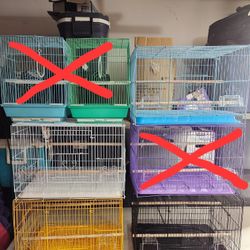 Bird Cage 