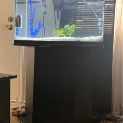 Brand new 29gallon tank with stand