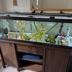 65 Gallon Fish Tank 