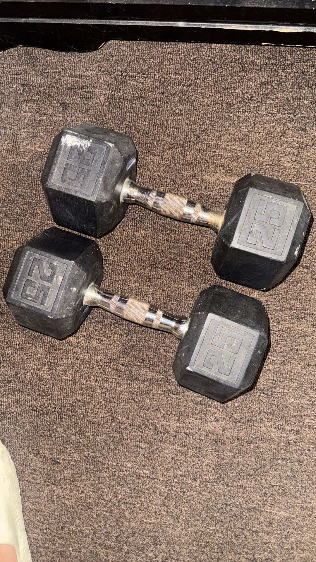 25lbs Dumbbells Pair’
