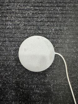 Google Nest Home Mini, price is firm