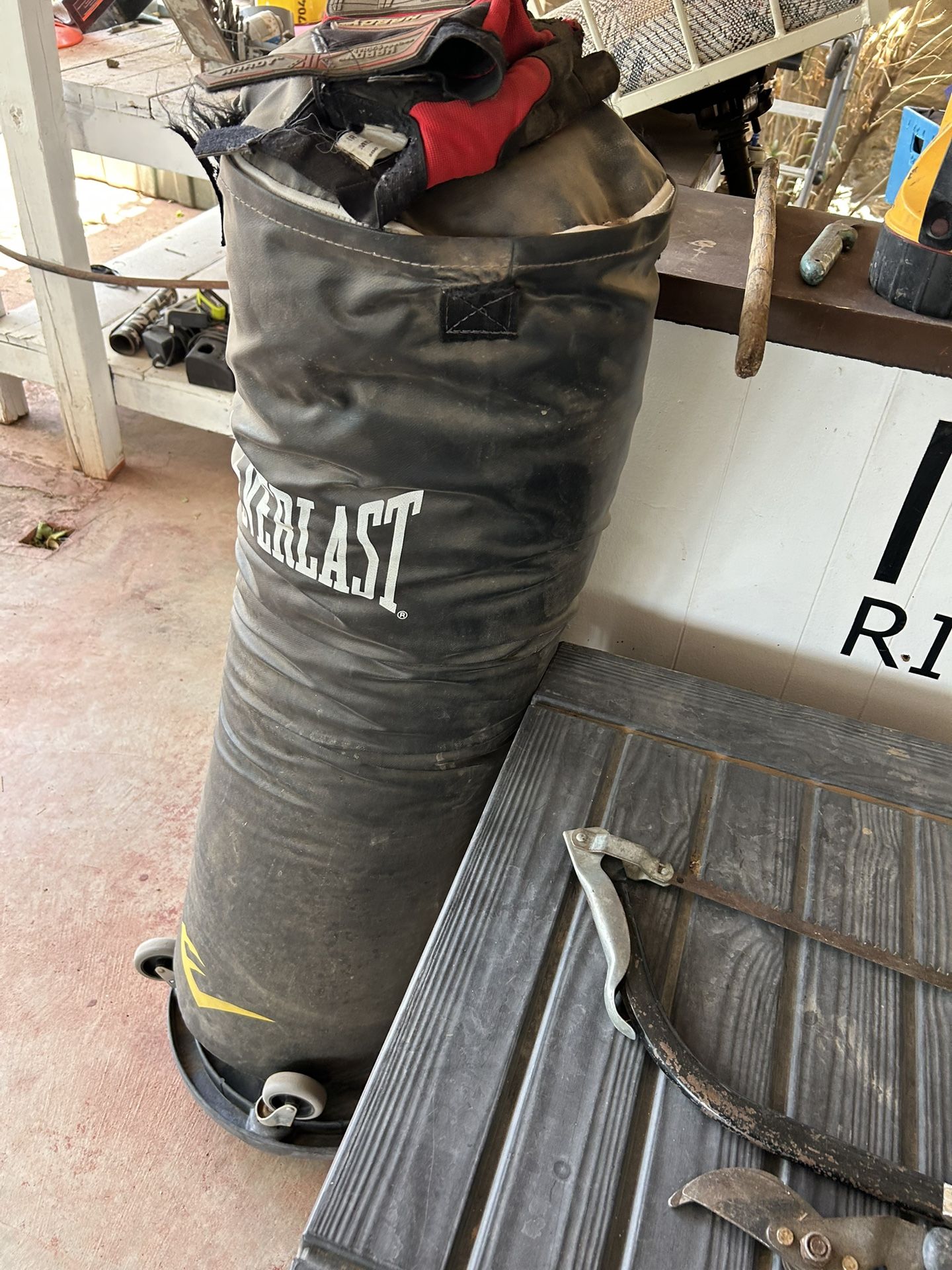 Everlast Punching Bag