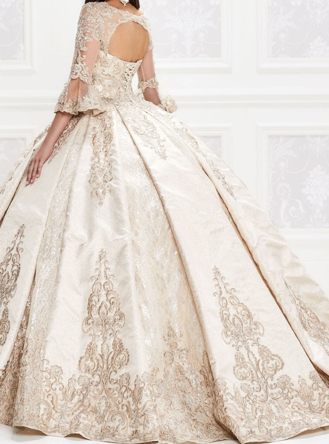 Quinceanera Package. Dress+accessories.
